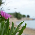 Tcono Vakantiehuis